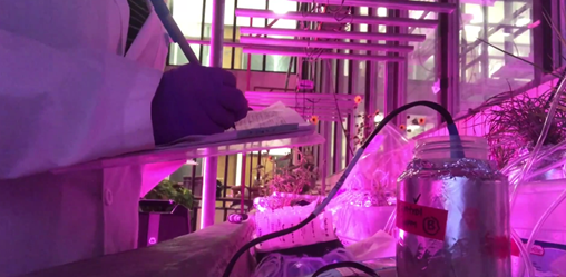 photo: a laboratory